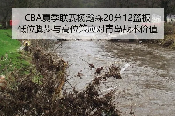CBA夏季联赛杨瀚森20分12篮板低位脚步与高位策应对青岛战术价值